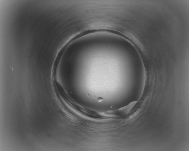 X0000070210885200605261249