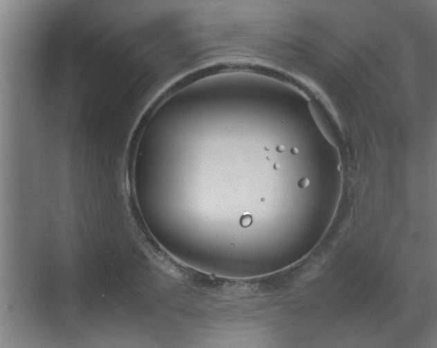 X0000070210887200605261249