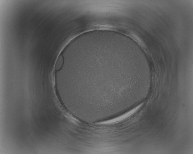 X0000070210891200605261249