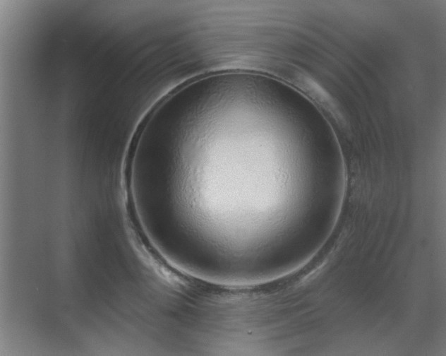 X0000070210892200605261249