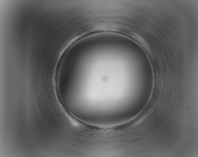 X0000070210893200605261249