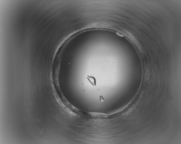 X0000070210896200605261249