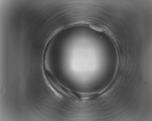 X0000070210898200605261249