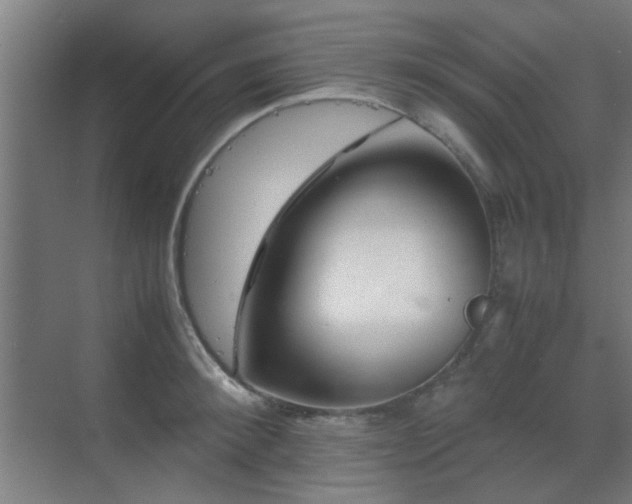 X0000070210900200605261249