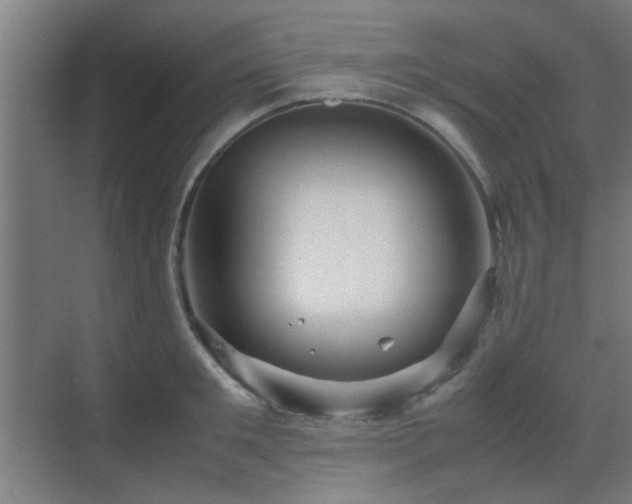 X0000070210901200605261249