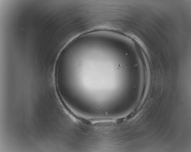 X0000070210902200605261249