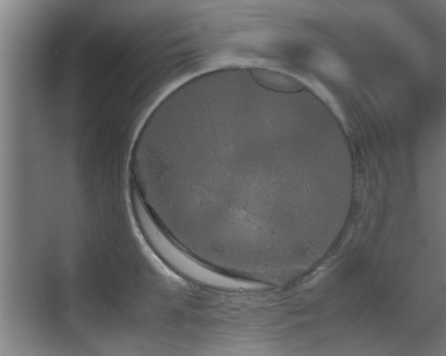 X0000070210903200605261249