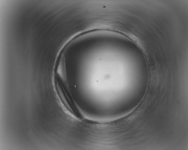 X0000070210904200605261249