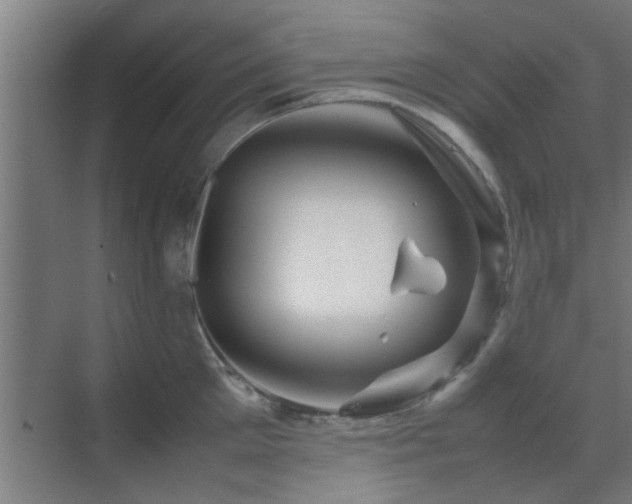 X0000070210905200605261249