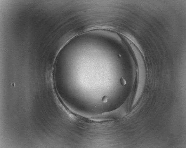 X0000070210906200605261249