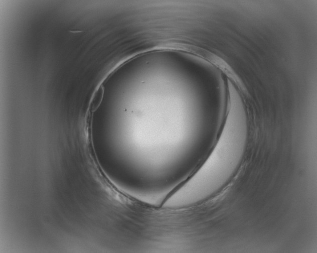 X0000070210908200605261249