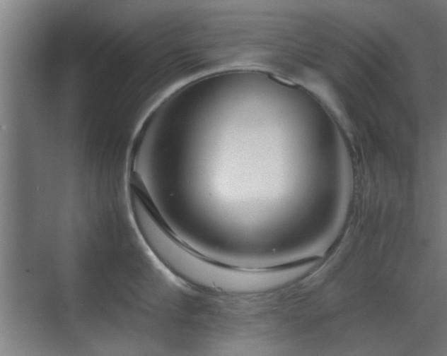 X0000070210910200605261249