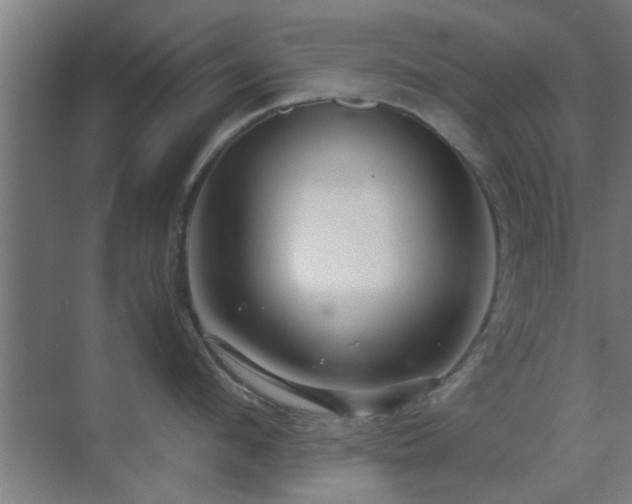 X0000070210912200605261249