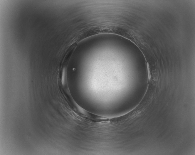 X0000070210916200605261248