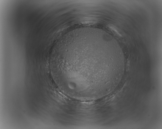 X0000070210917200605261248