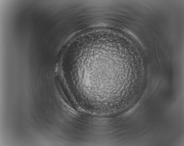 X0000070210921200605261248