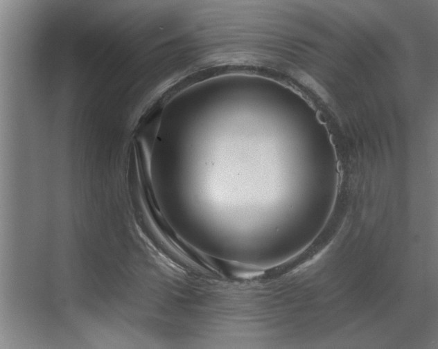 X0000070210922200605261248