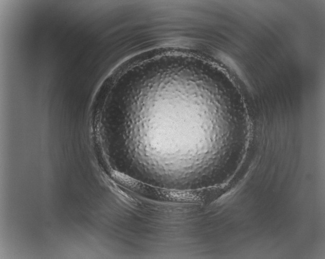 X0000070210923200605261248