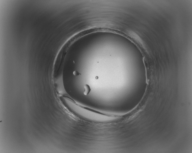 X0000070210924200605261248