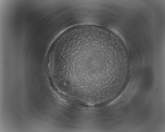 X0000070210925200605261248