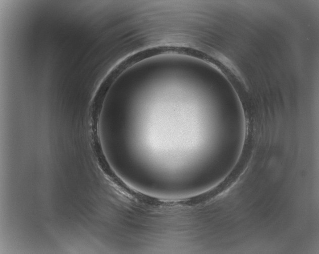 X0000070210926200605261248