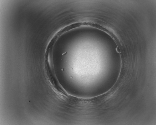 X0000070210927200605261248