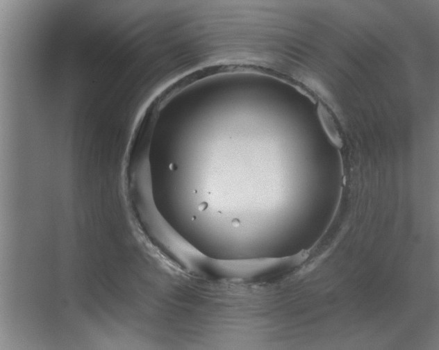 X0000070210928200605261248