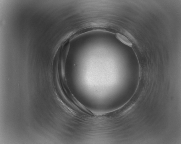 X0000070210930200605261248