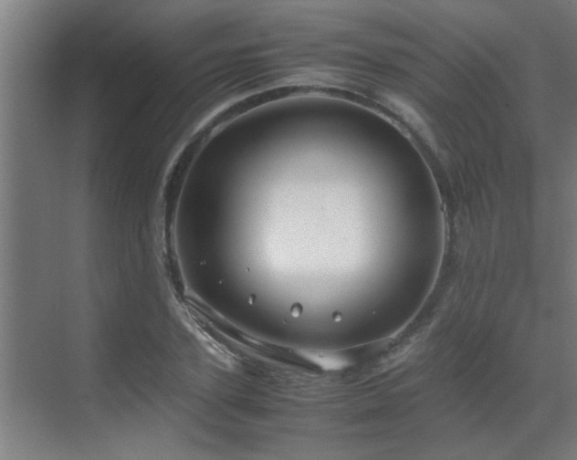 X0000070210931200605261248