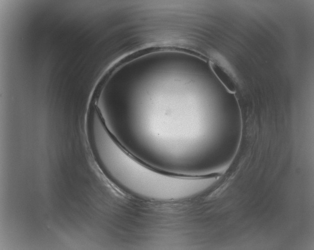 X0000070210932200605261248