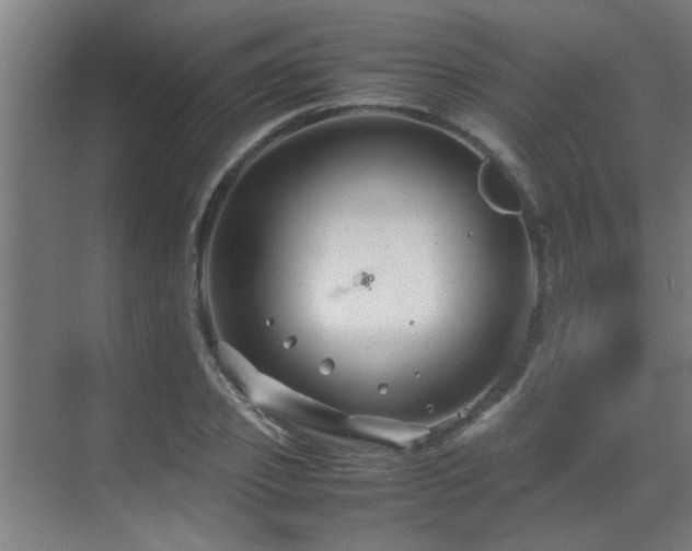 X0000070210933200605261248