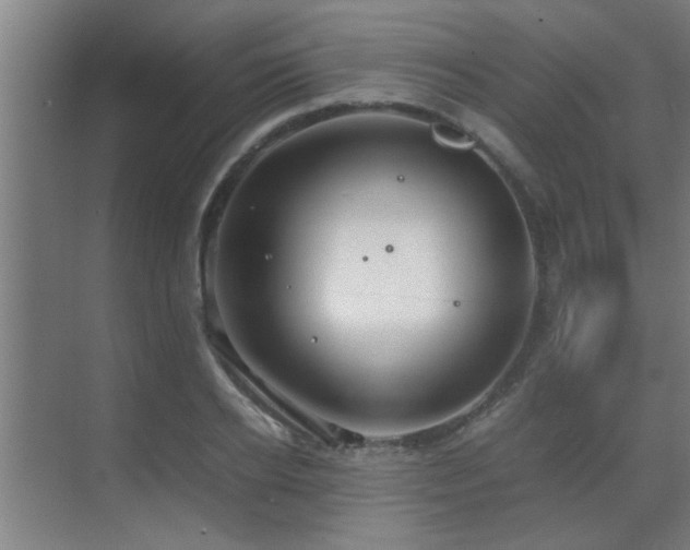 X0000070210934200605261248