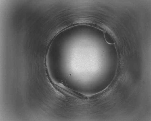 X0000070210937200605261248