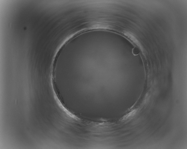 X0000070210941200605261248