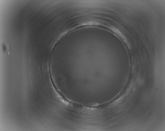 X0000070210945200605261248