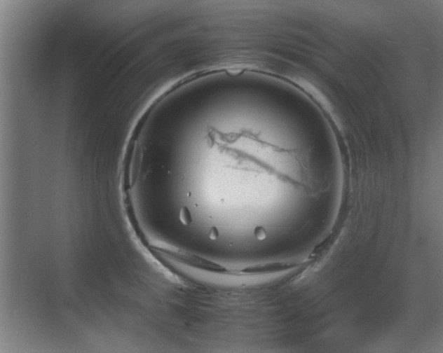 X0000070210949200605261248