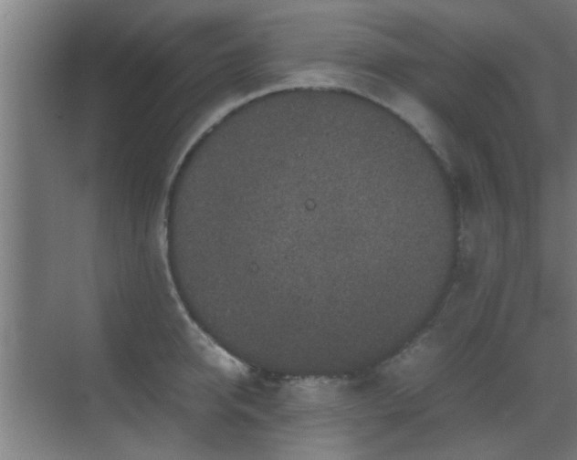 X0000070210950200605261248