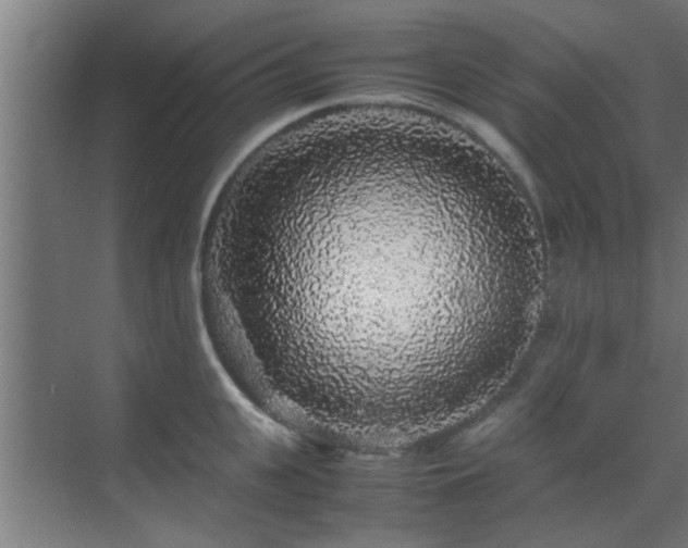 X0000070210951200605261248