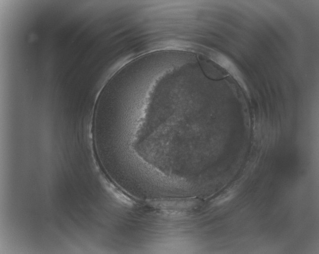 X0000070210954200605261248