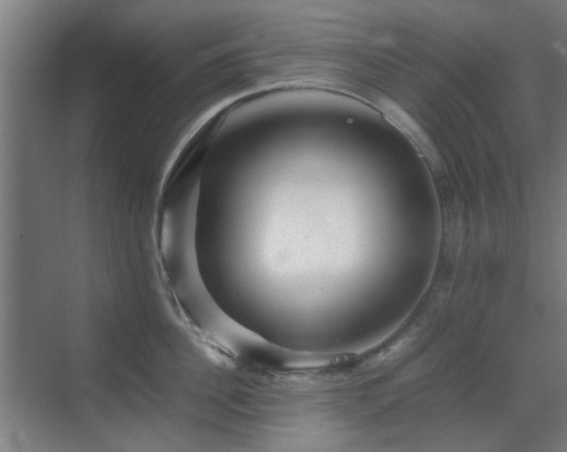 X0000070210956200605261249