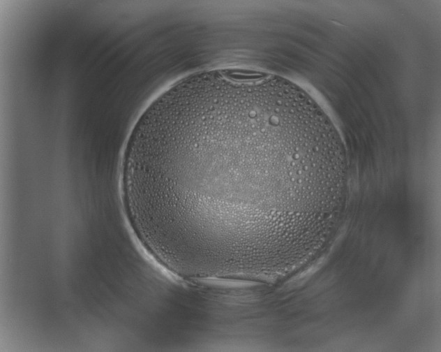 X0000070210957200605261249