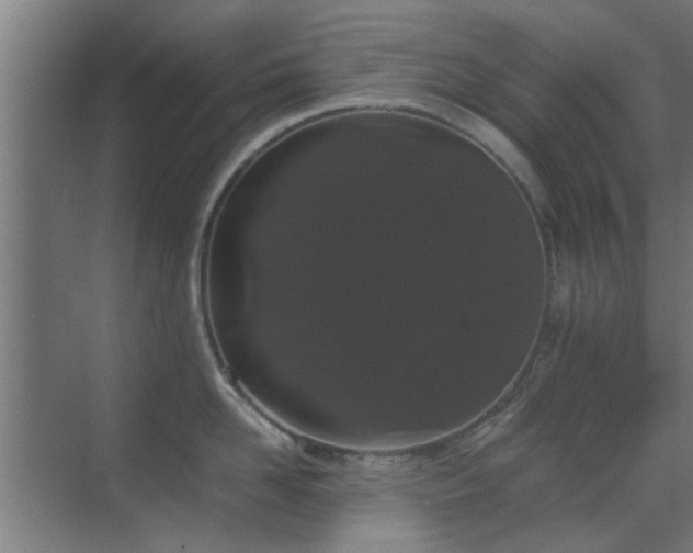 X0000070210958200605261249