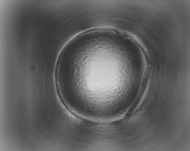 X0000070210959200605261249