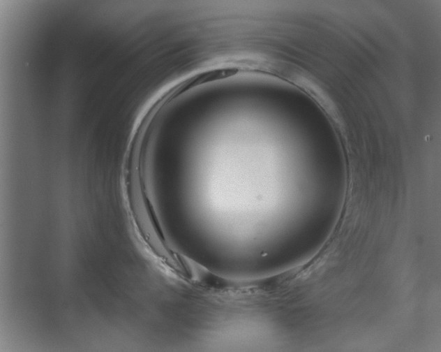 X0000070210960200605261249