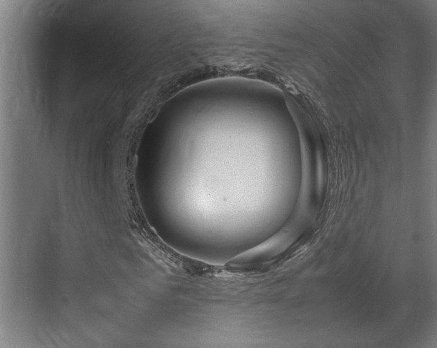 X0000070210961200605261248