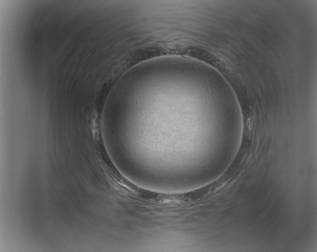 X0000070210963200605261248