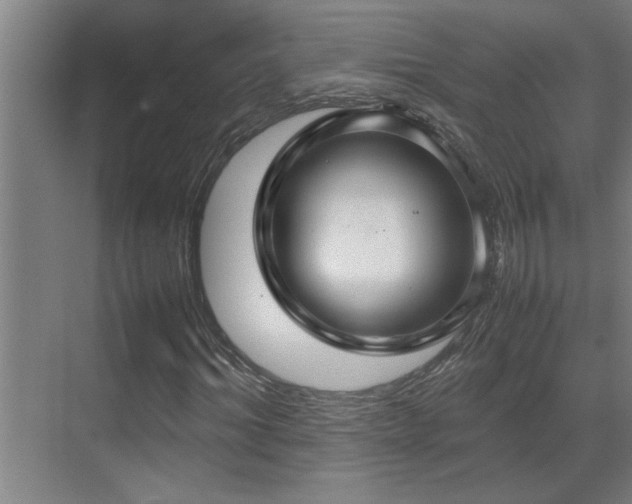 X0000070210964200605261248