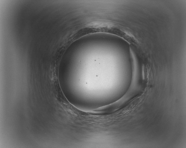 X0000070210965200605261248