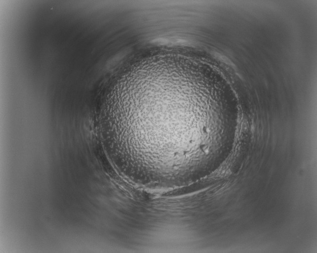 X0000070210966200605261248