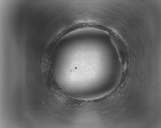 X0000070210967200605261248